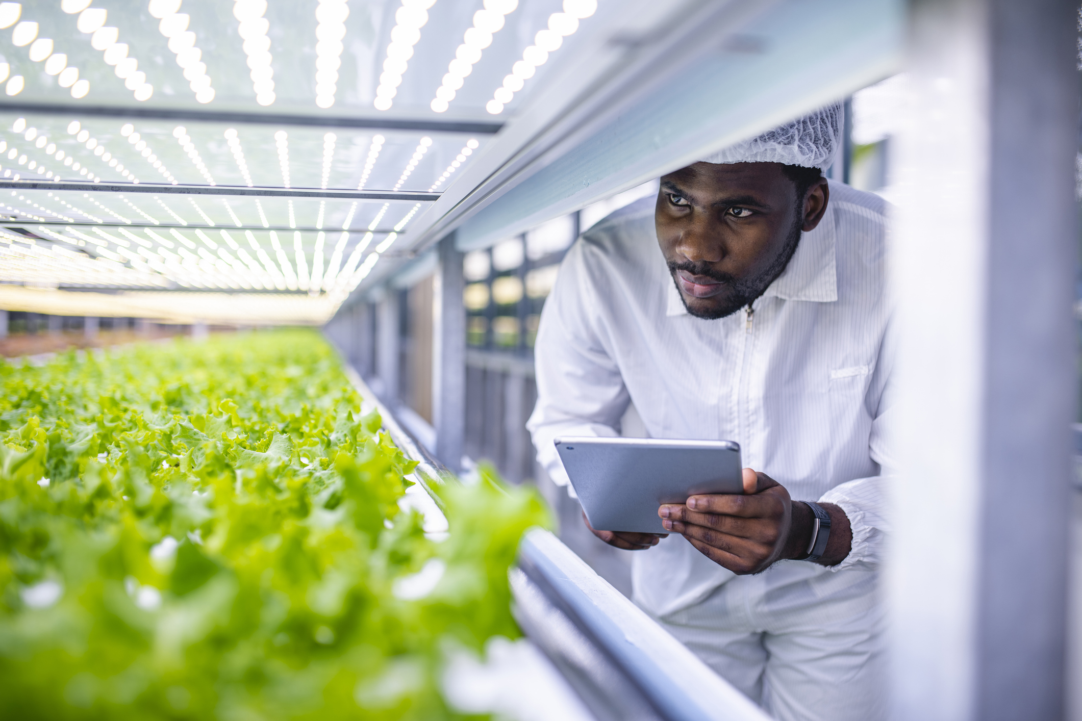 Como transformar o setor de agricultura, alimentos e bebidas?