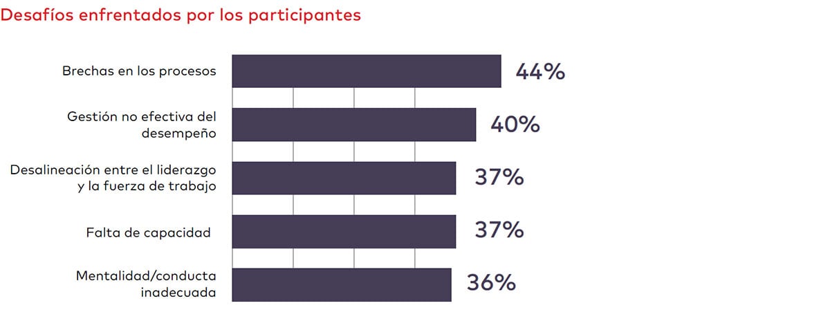 Desafíos enfrentados por los participantes