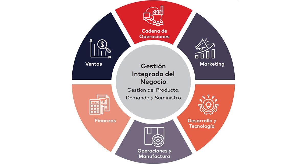 Figura 3. El Modelo de la Gestión Integrada del Negocio