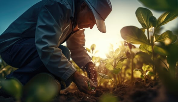 Ensuring Safety from Farm to Fork: Australia’s Food Chain