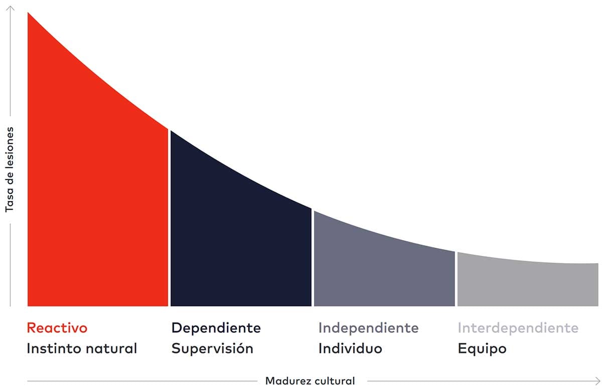 Curva de Bradley™ de dss+